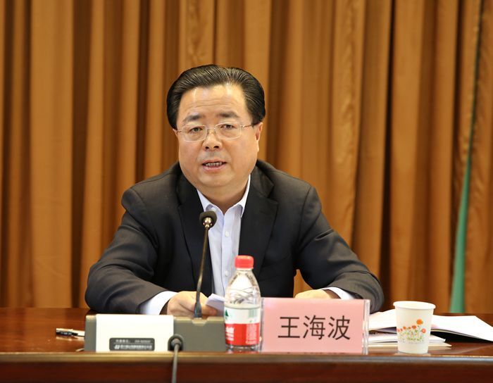 陕西省教育厅副厅长王海波讲话 陕西省教育厅副厅长王海波讲话